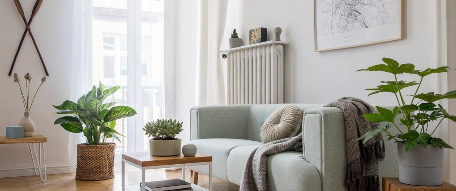 AdobeStock_308579883